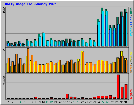 Daily usage for January 2025