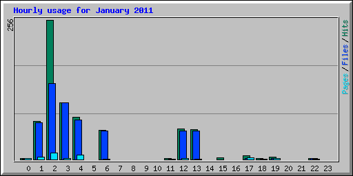 Hourly usage for January 2011