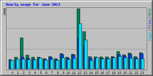 Hourly usage for June 2013