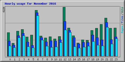 Hourly usage for November 2016