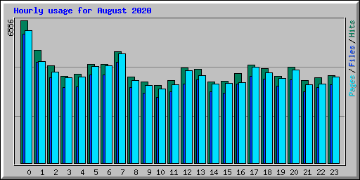 Hourly usage for August 2020