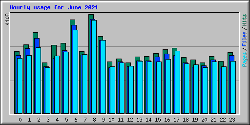 Hourly usage for June 2021