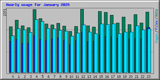 Hourly usage for January 2025