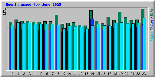 Hourly usage for June 2025